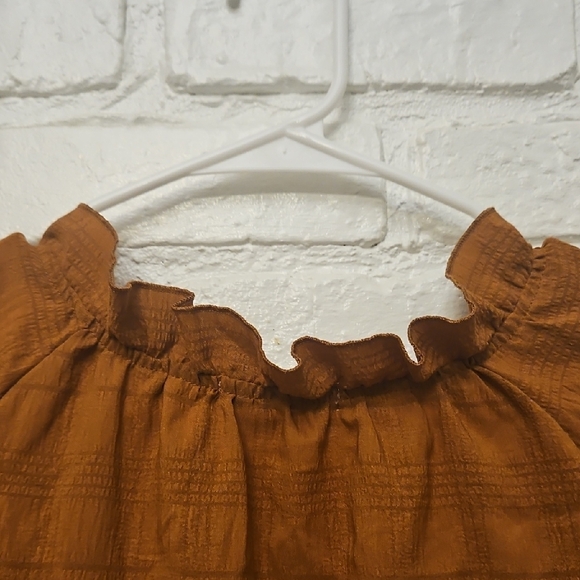 Elegant Rust Ruffled Blouse - Picture 5 of 5